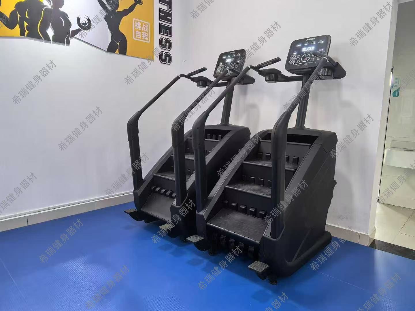 Kommerzielle Cardio-Fitnessger – Home Gym Used Bewertung und Preis