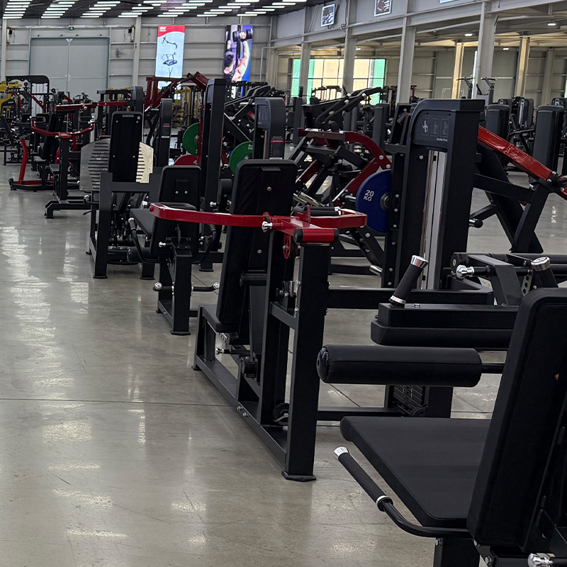 Multifunktionales Stahl-Kraftt – Home Gym Equipment Bewertung und Preis