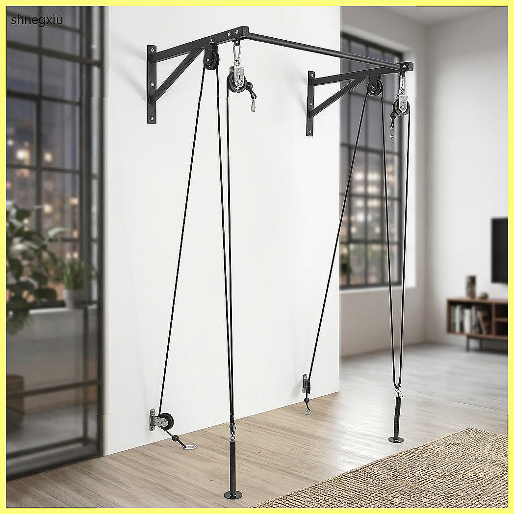 Wandmontiertes DIY-Fitness-Sei – Home Gym Diy Bewertung und Preis